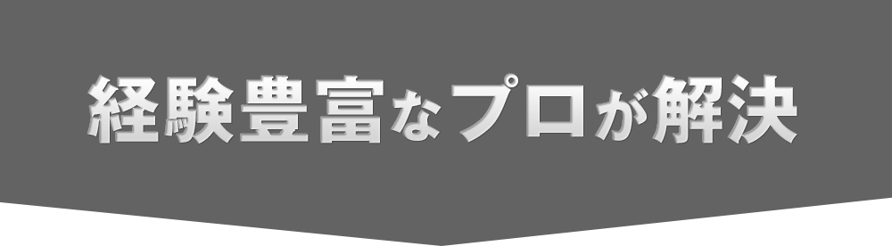 経験豊富なプロが解決